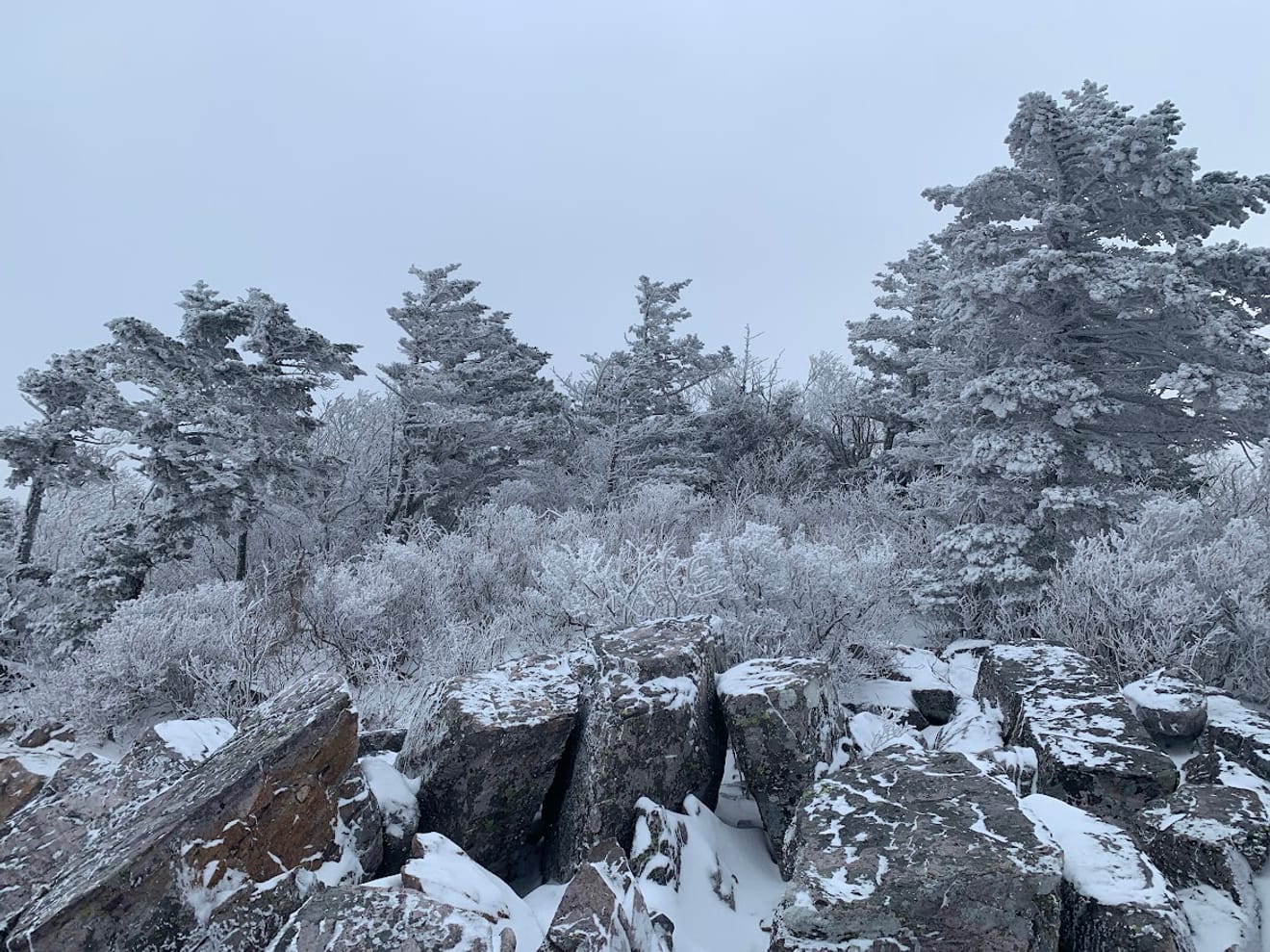 [National Park Stamp Tour] 11. Taebaeksan, Beautiful with Snow Flowers