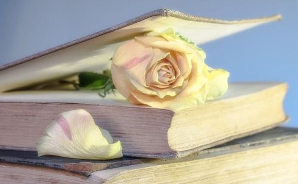 Encontrando inspiración en los libros