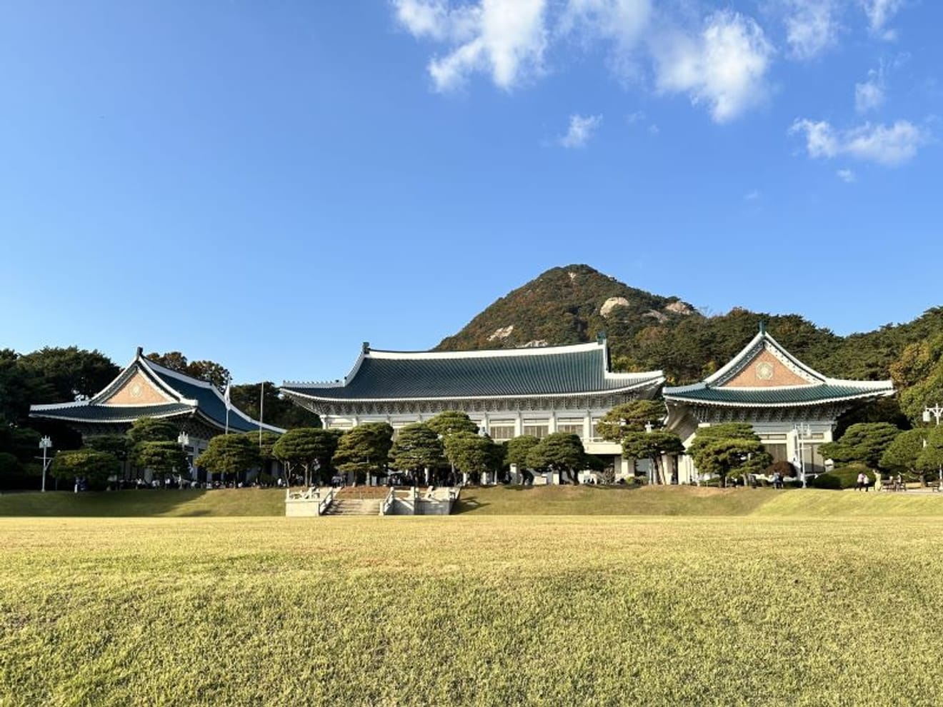Visit to the Blue House (Bookable from Japan)
