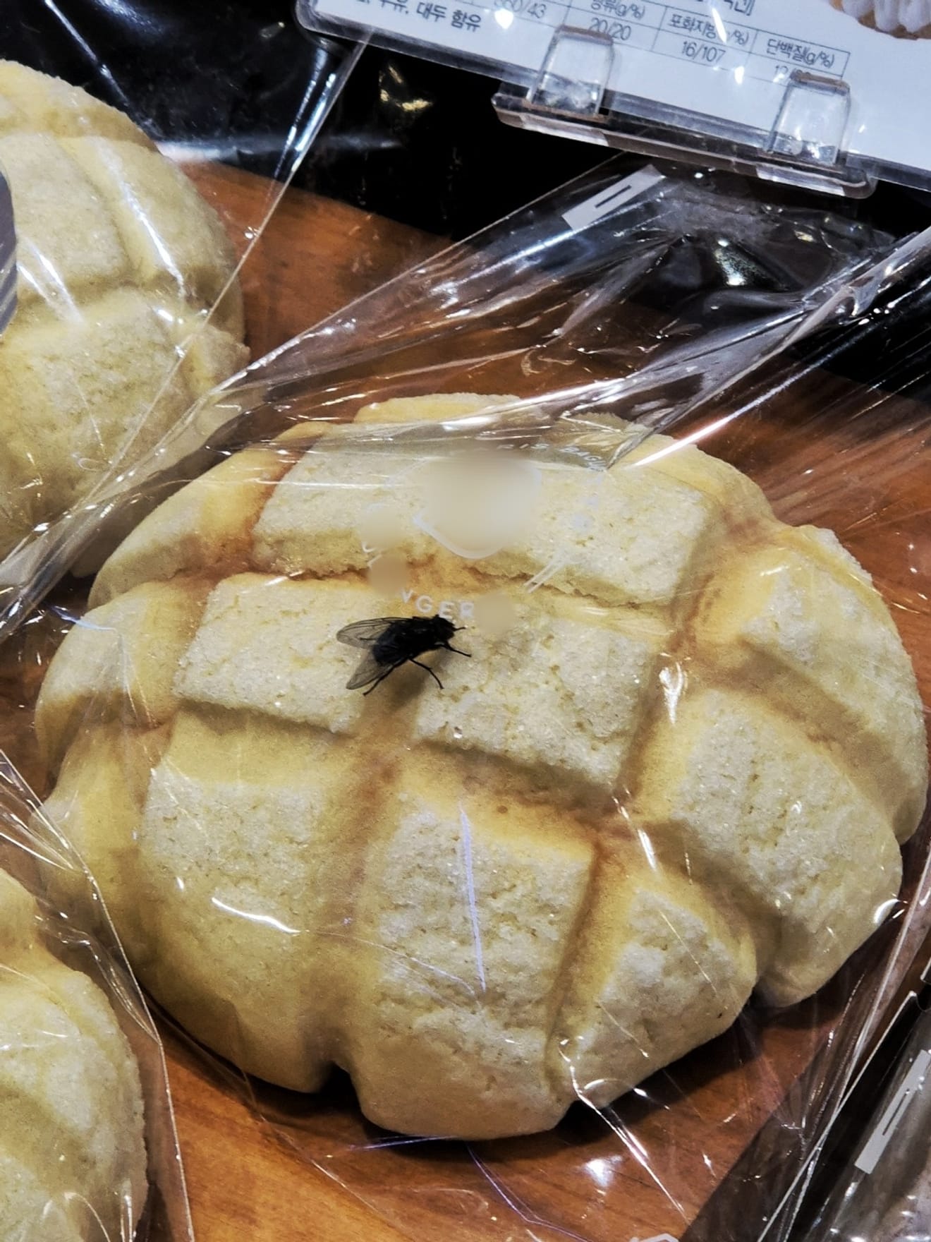 Soms is snel opgeven het antwoord - Wat ik leerde van een meloenbrood met vlieg