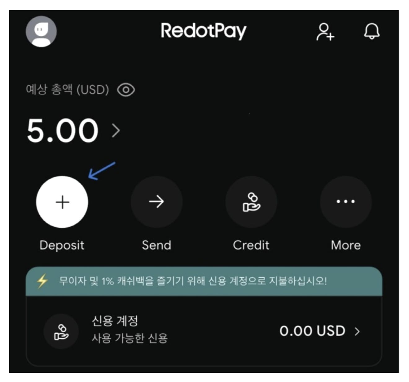 Ridatpay-способ-внесения-депозита-1