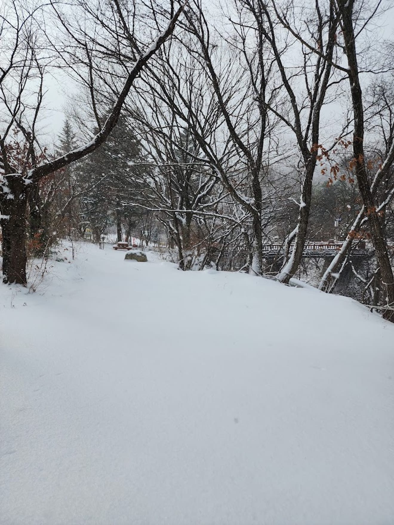 [National Park Stamp Tour] 13. Easy Snow Hiking in Naejangsan with a Cable Car, Even for Beginners