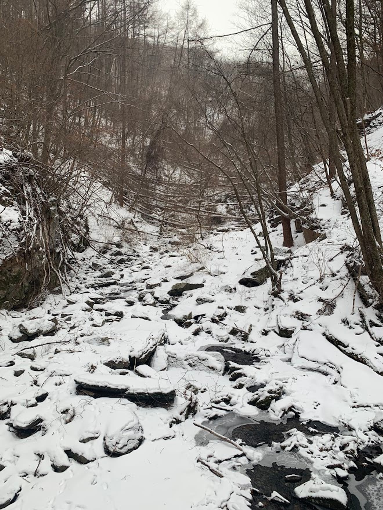 [National Park Stamp Tour] 11. Taebaeksan, Beautiful with Snow Flowers