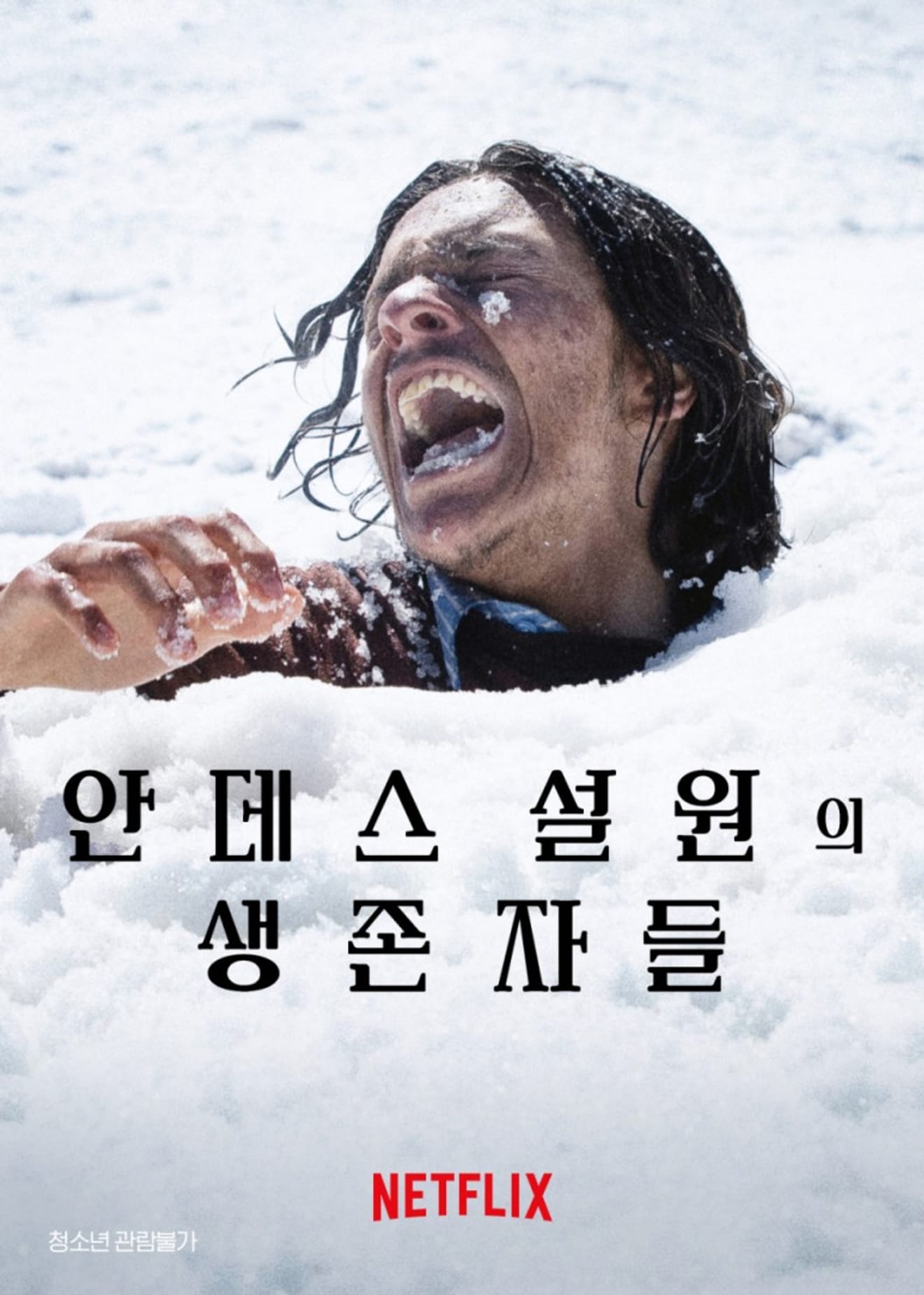 The Survivor (안데스설원의생존자들)