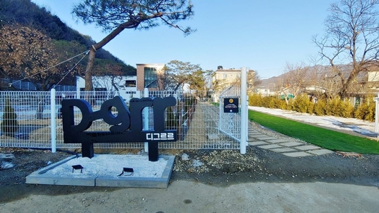 Recommended Weekend Trip Destinations with Your Dog: 'Diggeulgeul' in Gapyeong Daeseong-ri Station