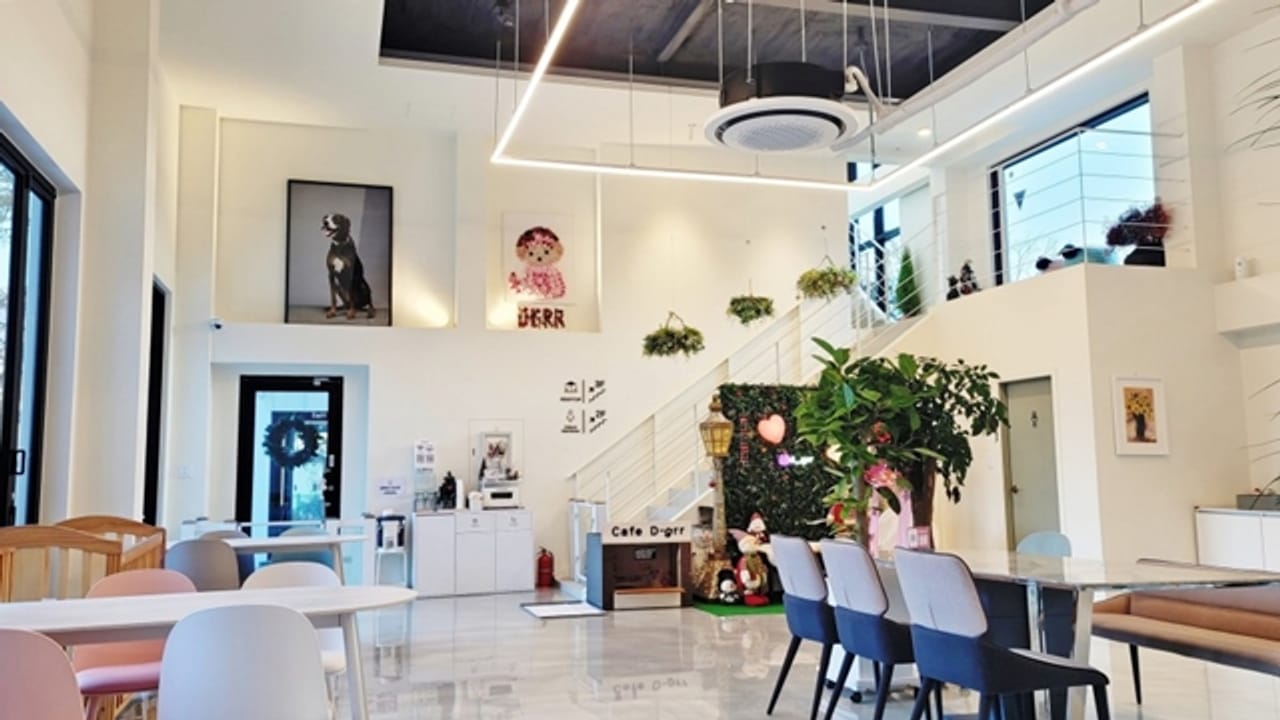 Recommended Weekend Trip Destinations with Your Dog: 'Diggeulgeul' in Gapyeong Daeseong-ri Station