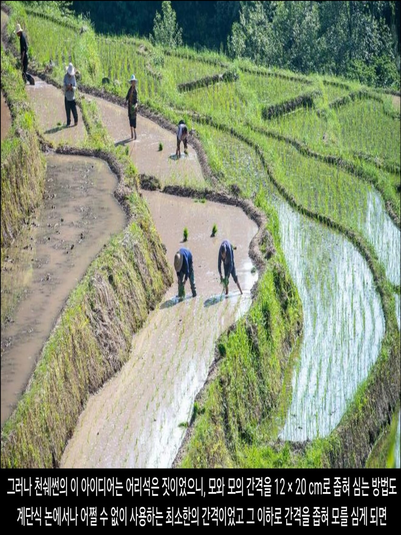 <DHC> นโยบายที่น่าสลดใจที่สุดในประวัติศาสตร์จีน การก้าวกระโดดครั้งใหญ่ ซึ่งทำให้ผู้คนหลายสิบล้านคนต้องเผชิญกับความตาย