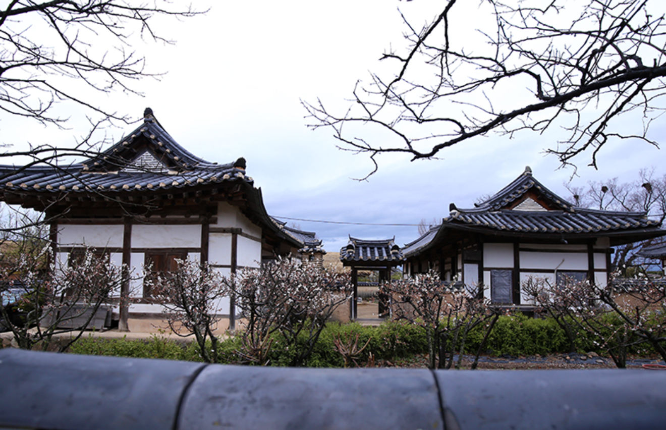 自然與歷史共存的安東河回村