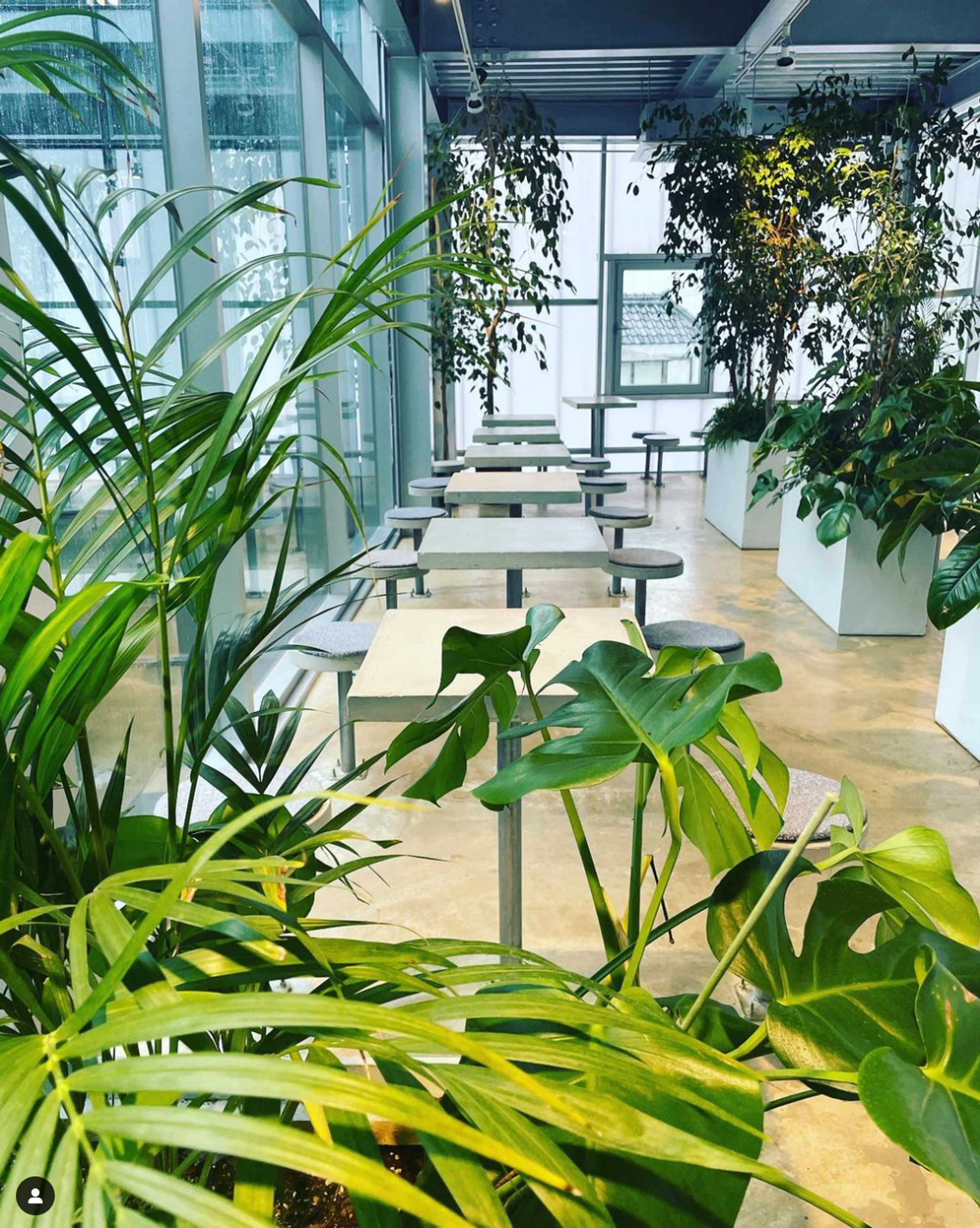 4 Kafe Lokal di Sungai Han, Seoul yang Baru Direnovasi dan Populer