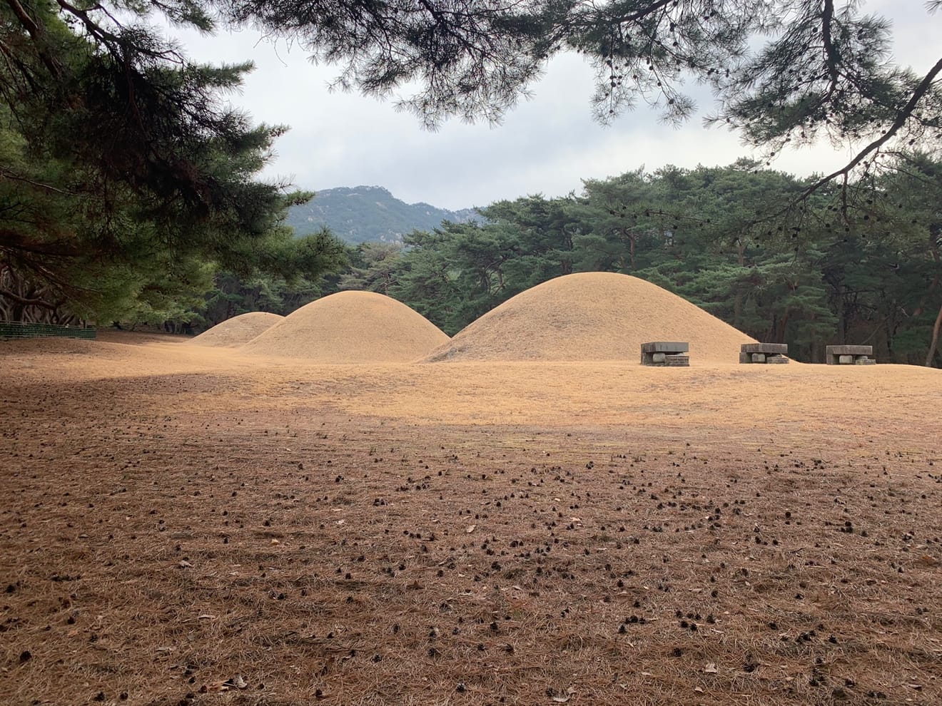 [Tour de Sellos de Parques Nacionales] 3. Parque Nacional de Gyeongju