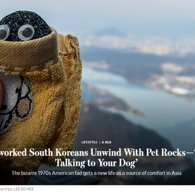 Streicheln.. Die zunehmende Popularität der Haustier-Steine in Korea, das an Überarbeitung leidet