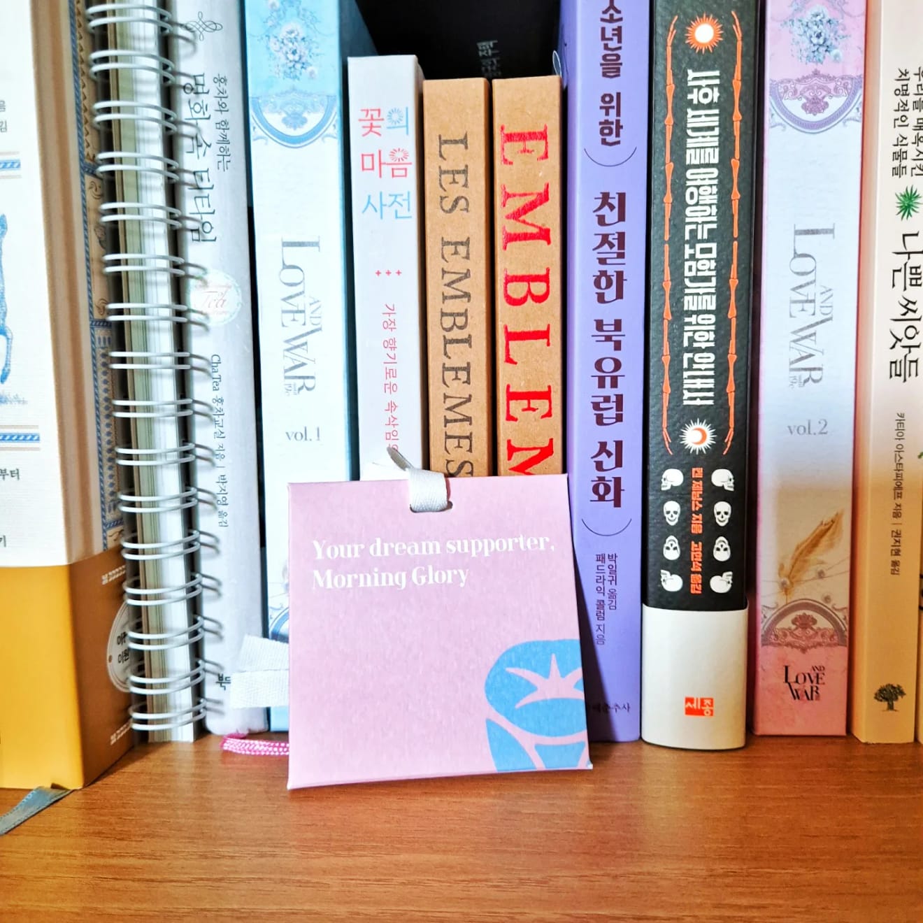 모닝글로리 서포터즈 모꿈이 26기로 활동 시작