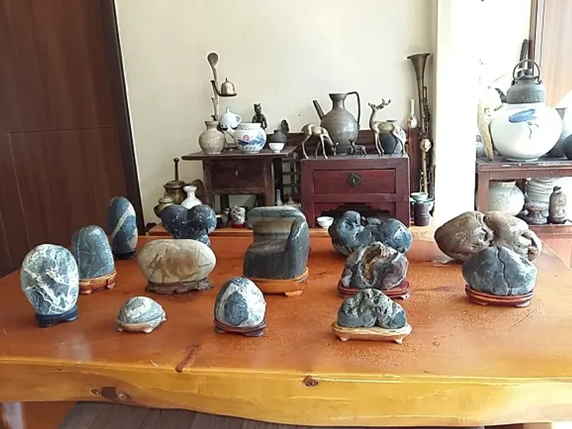 ¿Alternativa para aliviar el exceso de trabajo? La verdadera razón detrás de la tendencia de las 'mascotas de piedra'