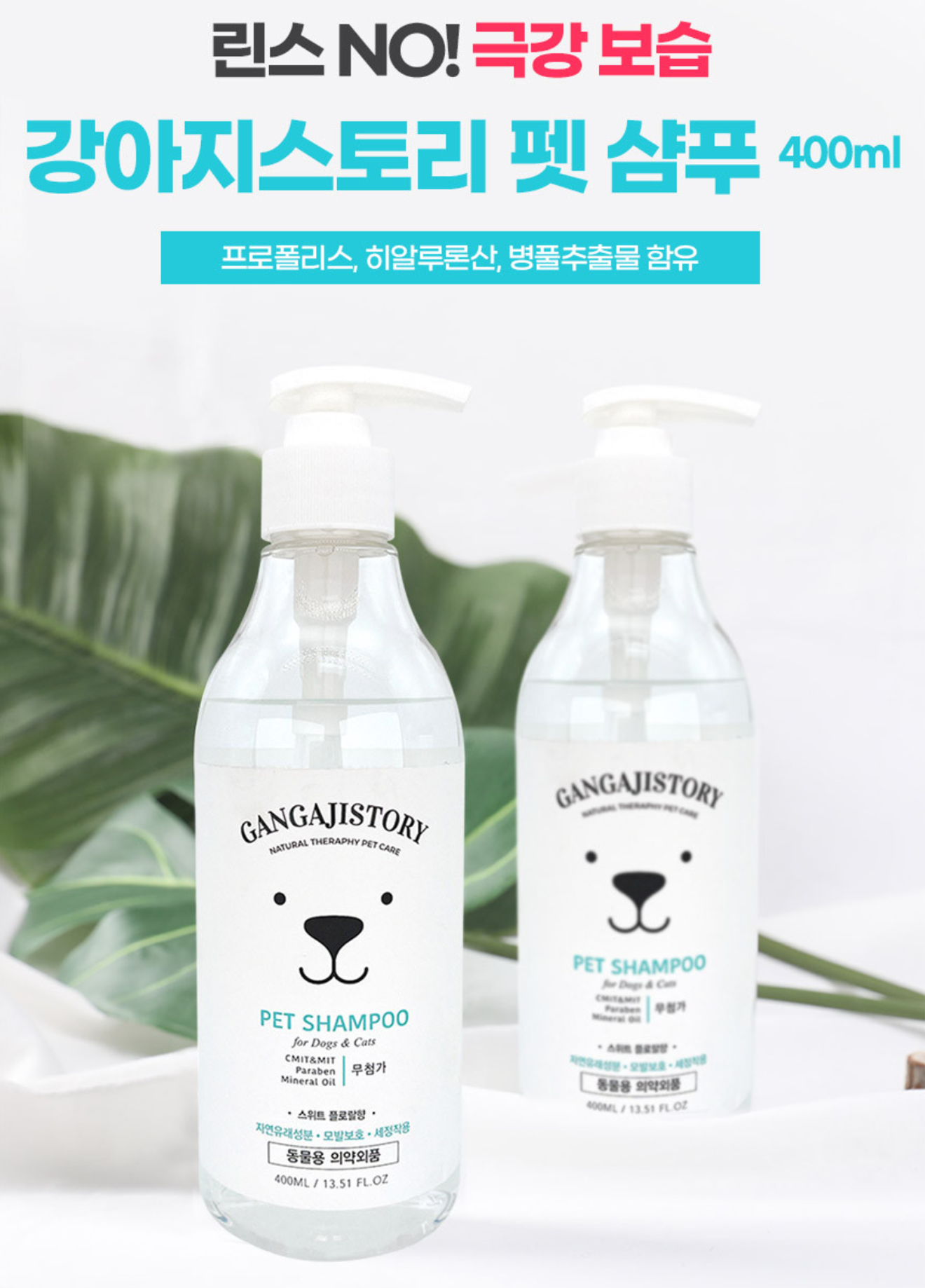 Rekomendasi Shampoo Anjing