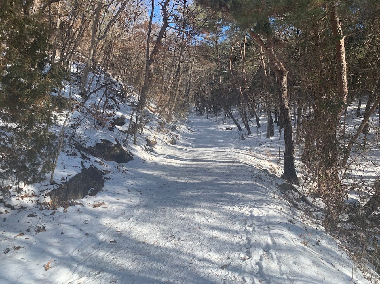[Ulusal Park Pul Turu] 10. 월악산 (Walaksan) Yeni Başlayanlar İçin Kar Çiçeği Dağcılık Rotası Oksunbong'un Chungju Gölü Manzarası