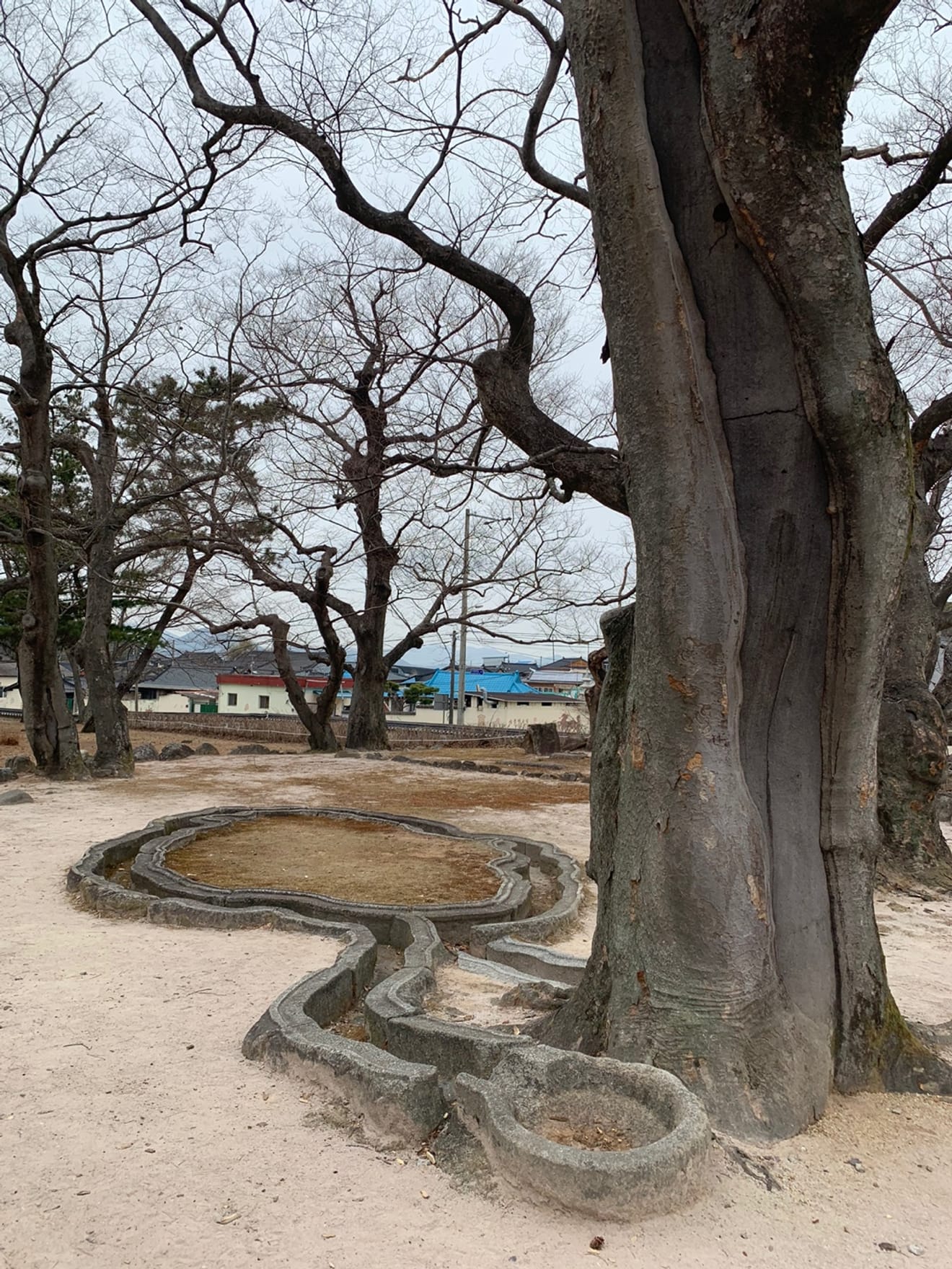 [Tour de Sellos de Parques Nacionales] 3. Parque Nacional de Gyeongju