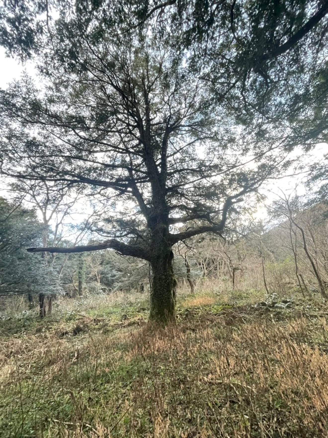 Cosa pensi guardando questa foto? Ti è già capitato di riflettere su una fotografia di recente?