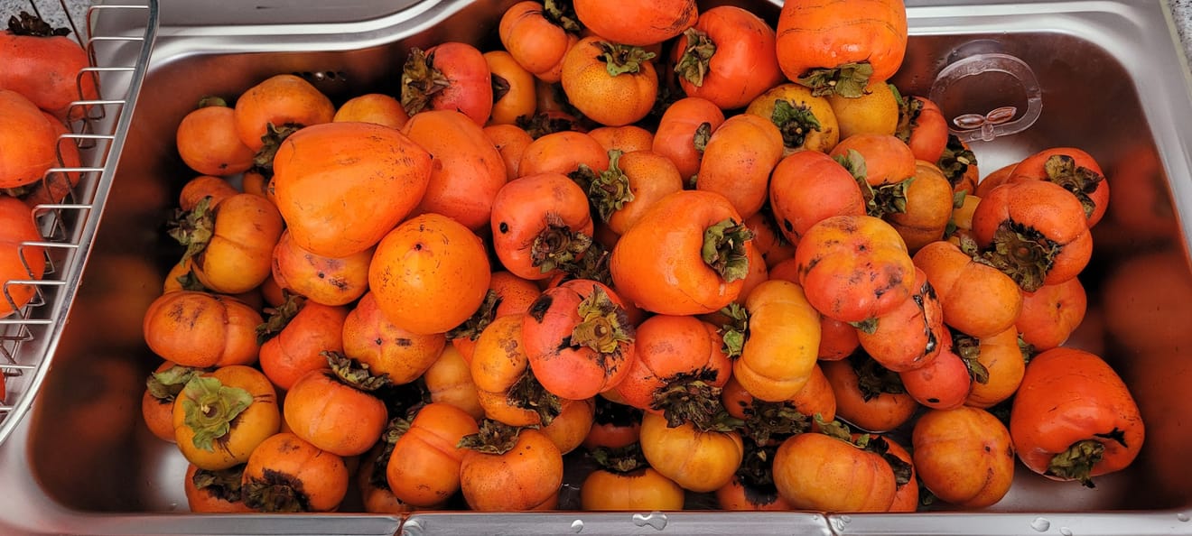 Peren plukken op het platteland