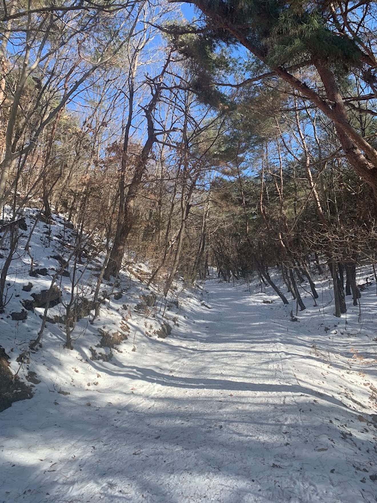 [Ulusal Park Pul Turu] 10. 월악산 (Walaksan) Yeni Başlayanlar İçin Kar Çiçeği Dağcılık Rotası Oksunbong'un Chungju Gölü Manzarası