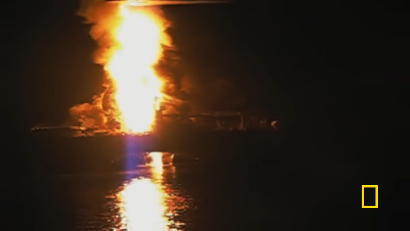 La ballena de arroz, reducida a solo 26 ejemplares por el derrame de Deepwater Horizon
