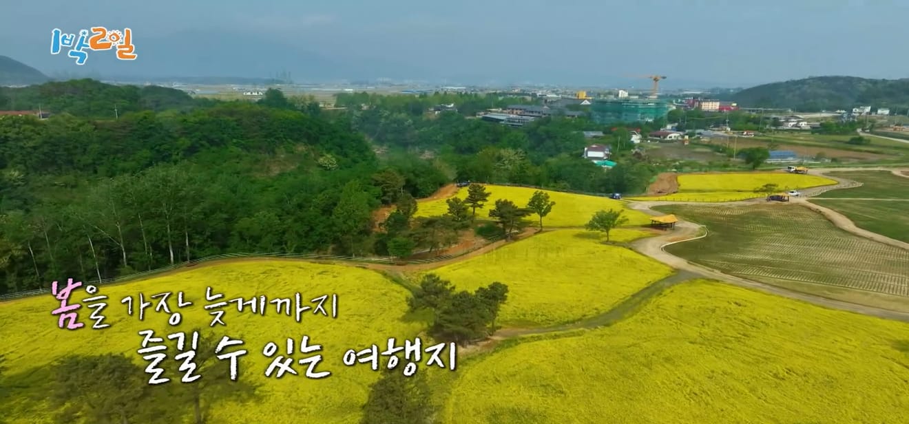 1 đêm 2 ngày, Gangwon-do Cheorwon, điểm đến thưởng ngoạn mùa xuân muộn nhất!