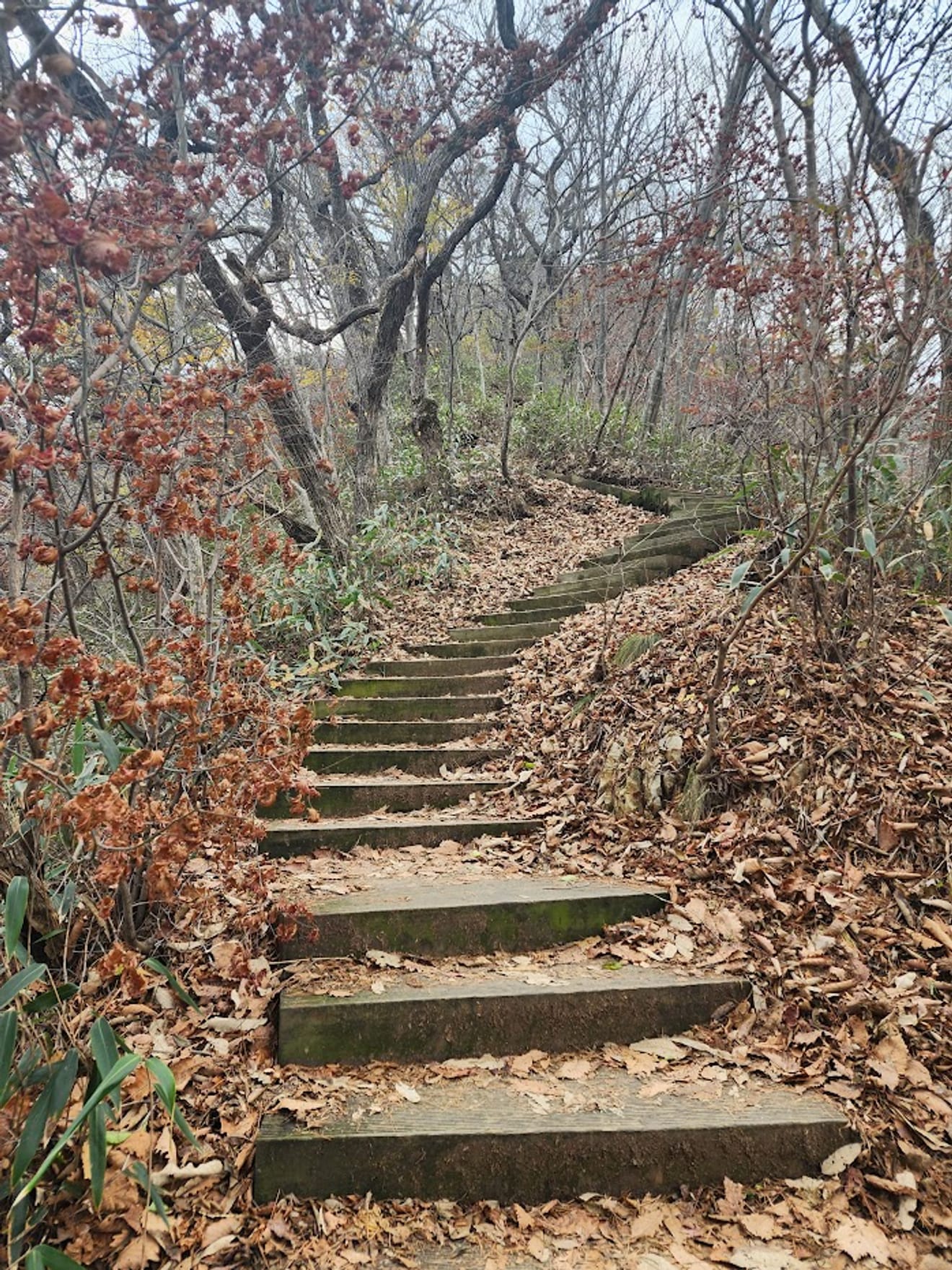 [National Park Stamp Tour] 12. Naejangsan National Park, Famous for its Maple Leaves, and the Cable Car