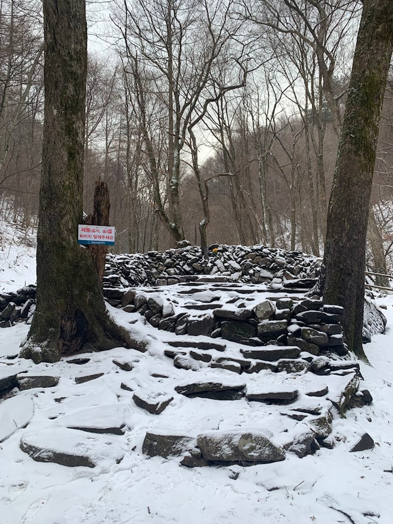 [National Park Stamp Tour] 11. Taebaeksan, Beautiful with Snow Flowers
