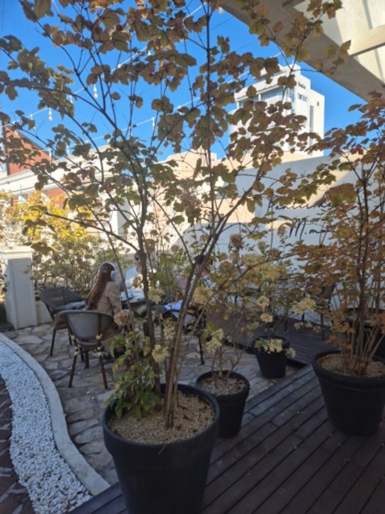 Apgujeong'da Kurdele Ekmekli Panier de Mmooni Rodeo Sokağı Cafe