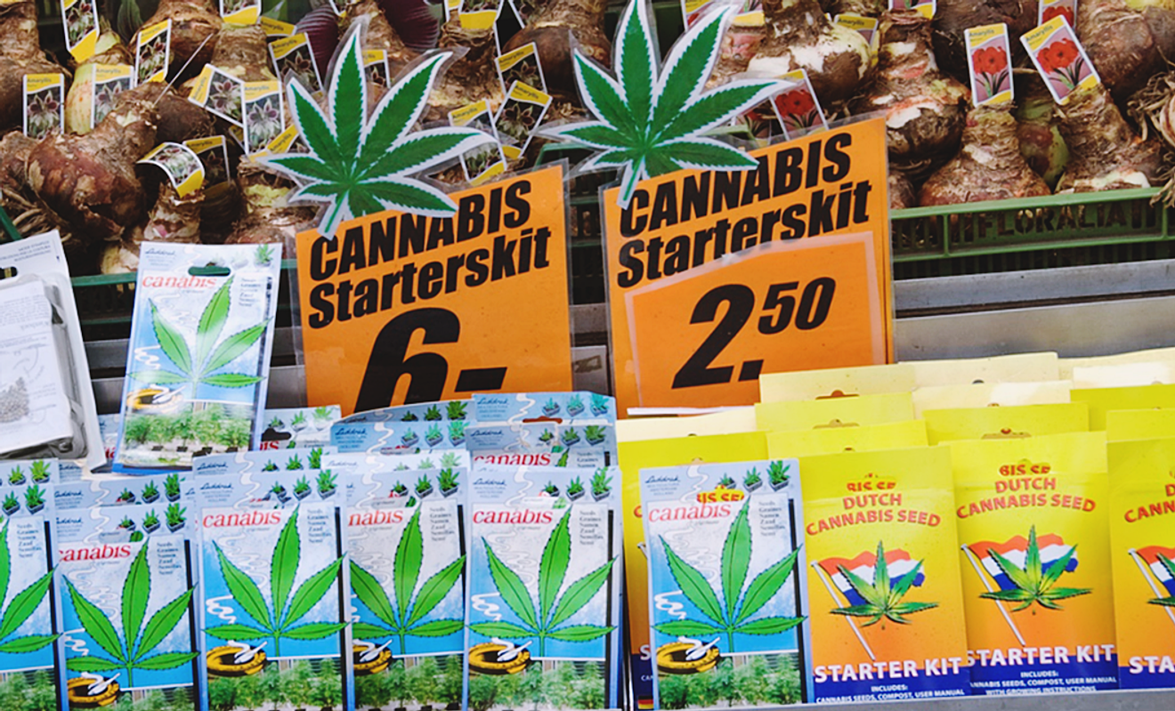 Legalizacja marihuany w Niemczech? Już na starcie ponad 1500 osób zaczęło palić