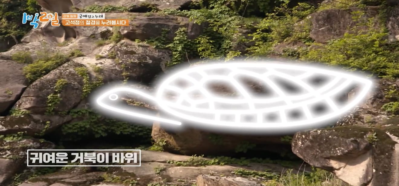 1 đêm 2 ngày, Gangwon-do Cheorwon, điểm đến thưởng ngoạn mùa xuân muộn nhất!