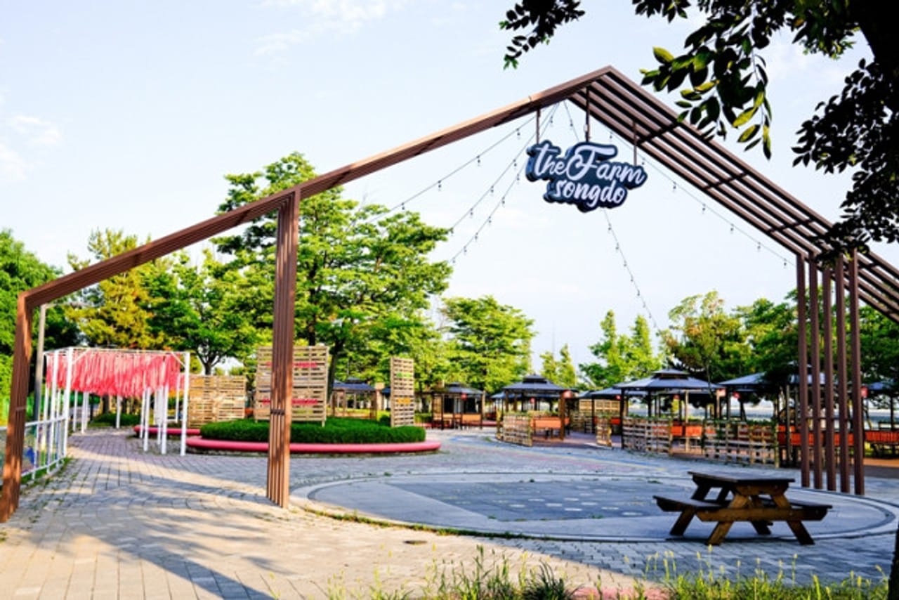 Khu cắm trại quốc tế Songdo, khu vực nướng BBQ độc đáo ‘The Farm Songdo’ khai trương - Kết hợp thư giãn và ẩm thực