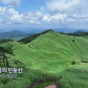 Video News Plaza minggu ke-3 Agustus menampilkan tempat-tempat bersejarah yang bermakna dalam rangka Hari Kemerdekaan. Gunung Mendung, Kuil Hwaomsa, Patung Perdamaian Gadis di Seongdong, Museum Peringatan Jenderal An Jung-geun, Pantai Gyeongpo, dan tempat