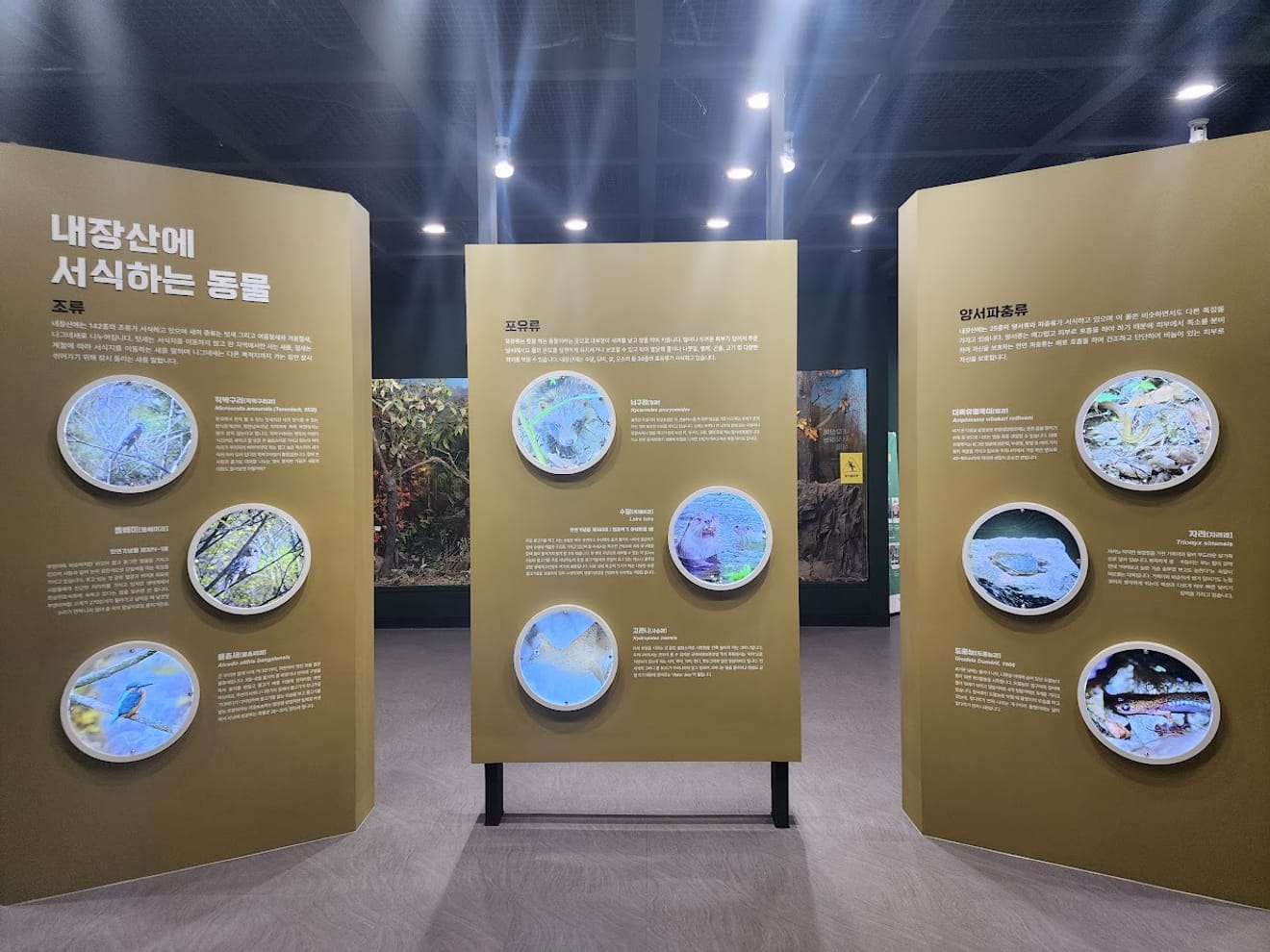 [National Park Stamp Tour] 12. Naejangsan National Park, Famous for its Maple Leaves, and the Cable Car