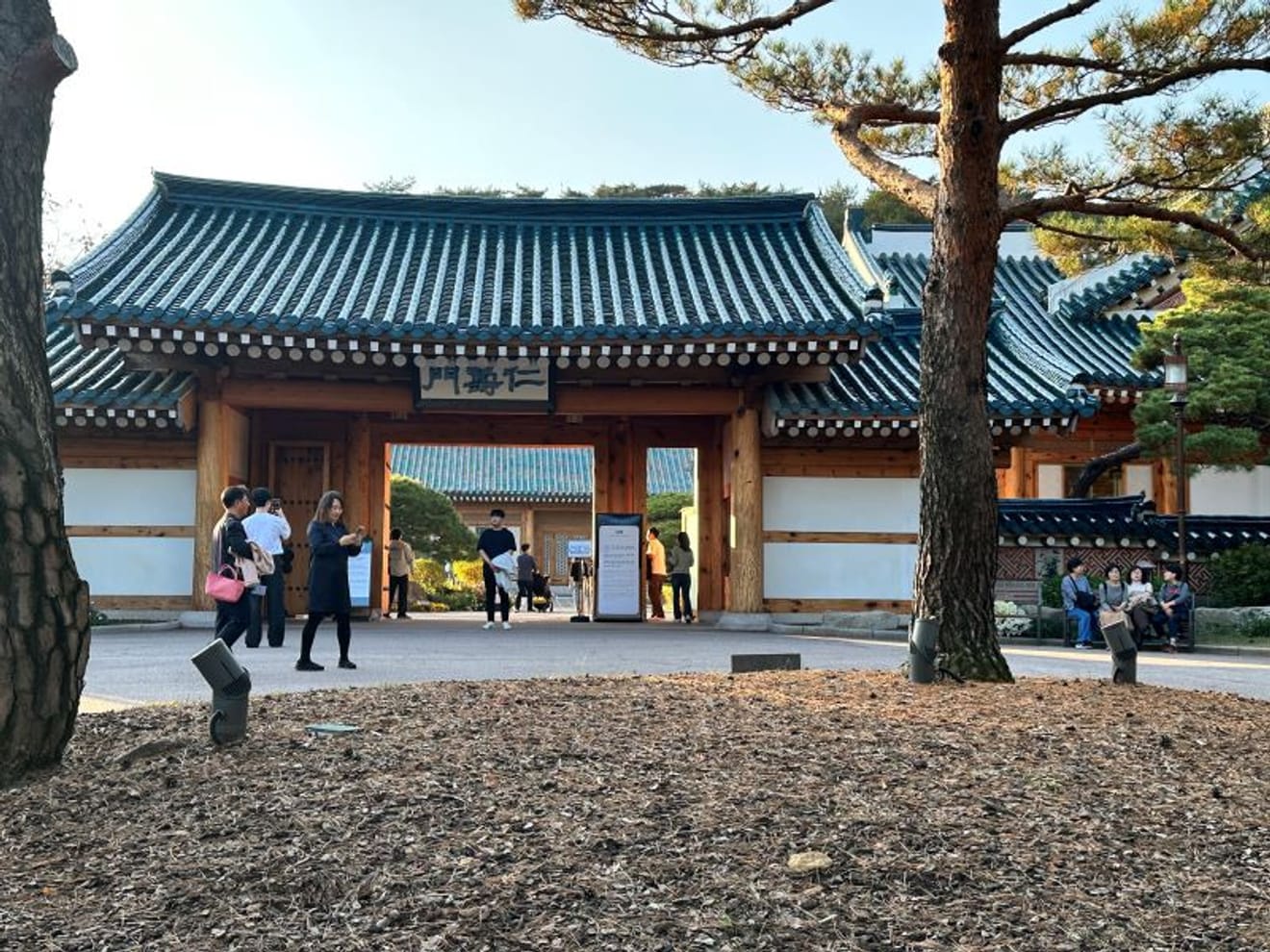 Visit to the Blue House (Bookable from Japan)
