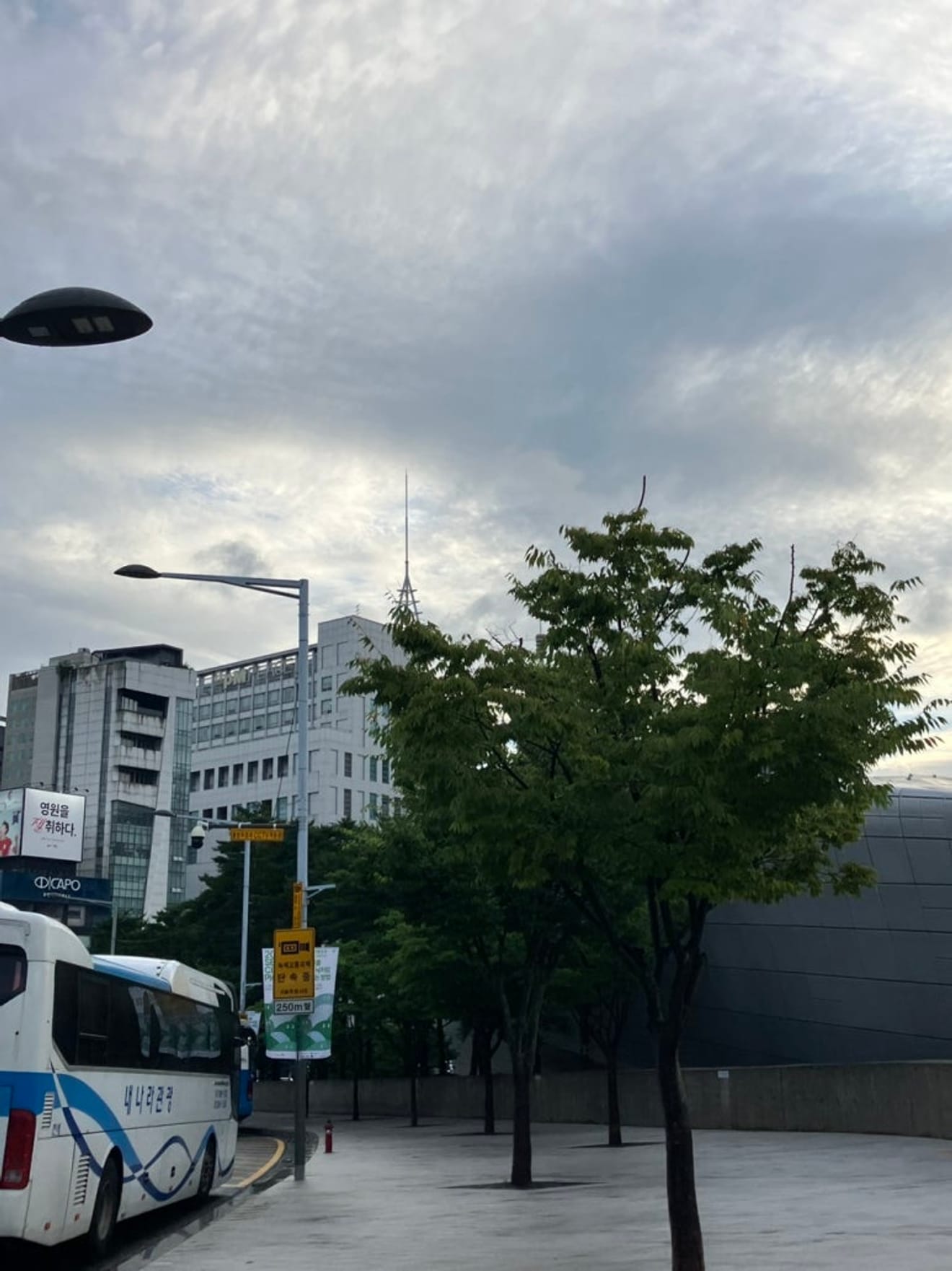 Dongdaemun New New Large Shopping Mall: A Wide Variety of Shopping Options
