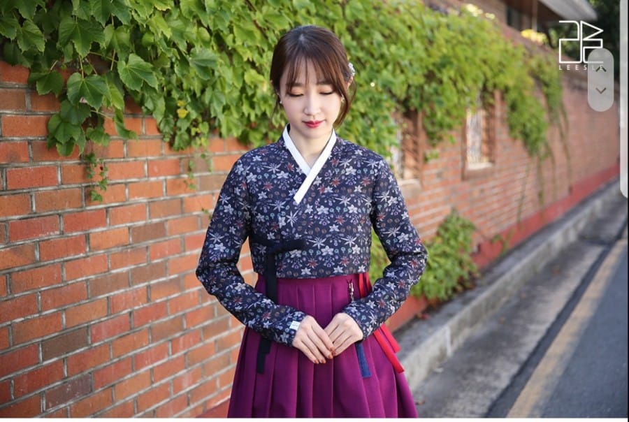 leesle पारंपरिक कोरियाई कपड़े छवि