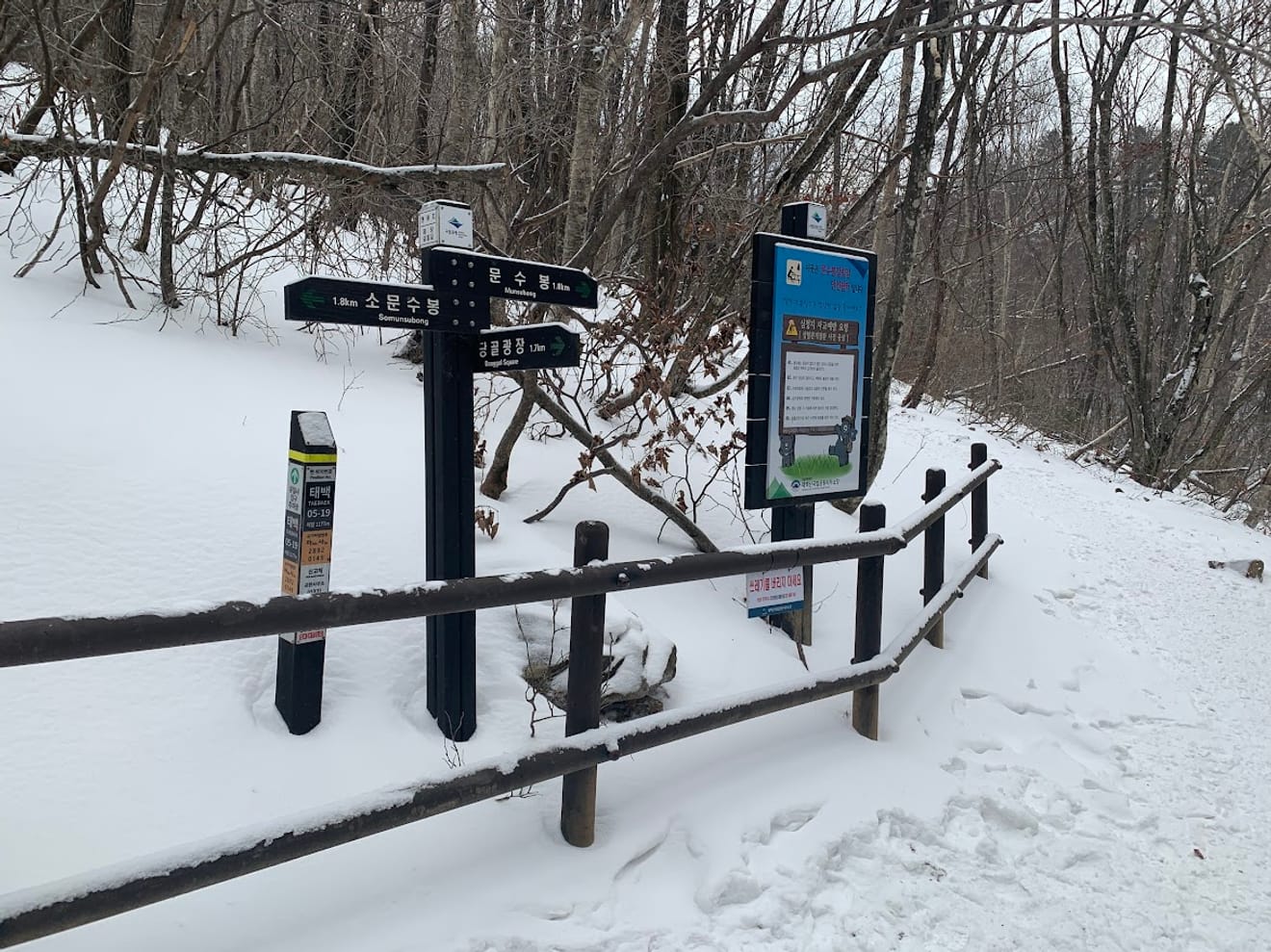 [National Park Stamp Tour] 11. Taebaeksan, Beautiful with Snow Flowers