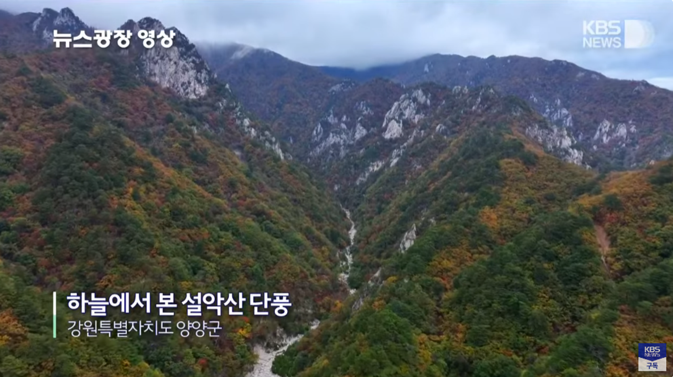 Belum Tentukan Destinasi Liburan? Rekomendasi Tempat Wisata Tersembunyi di KBS News Plaza, 20 Detik Saja! (Minggu ke-3 & 4 Oktober)