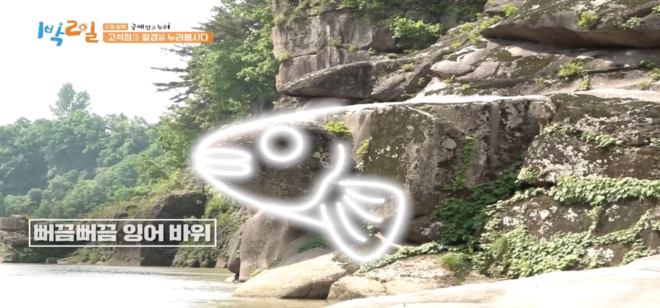 1 đêm 2 ngày, Gangwon-do Cheorwon, điểm đến thưởng ngoạn mùa xuân muộn nhất!