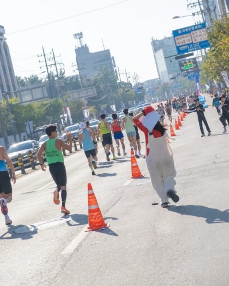 Hơn 37.000 người tham gia, đăng ký bổ sung cho Maratong Seoul JTBC 2024 đã hết, tôi đã đến cổ vũ với trang phục (Cuộc thi tuyển chọn trang phục độc đáo của hãng hàng không Eastar)