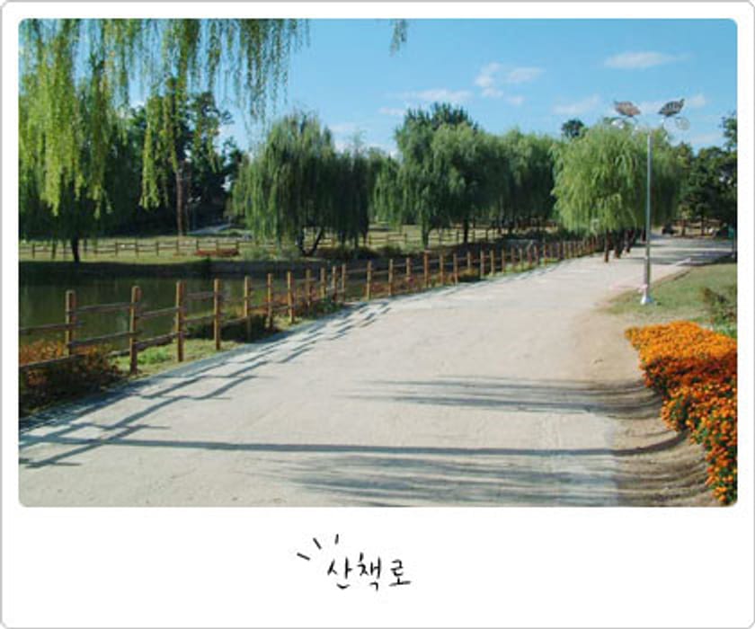寵物犬友善餐廳＆咖啡廳推薦 - 龍山家族公園