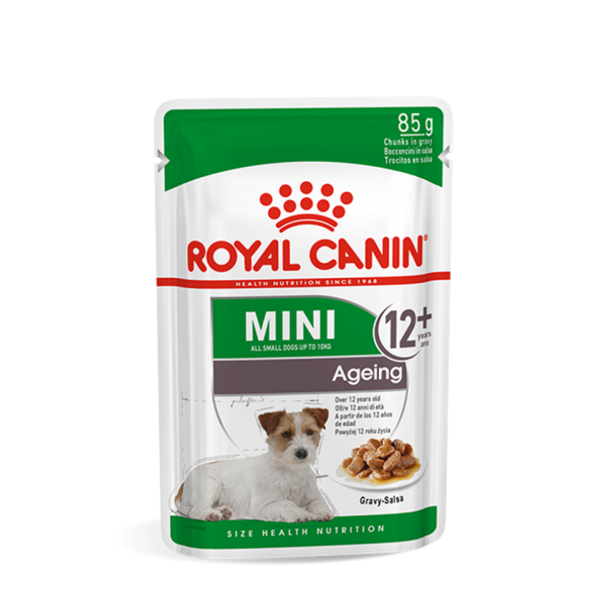 Jenis Pakan Anjing dan Rekomendasi
