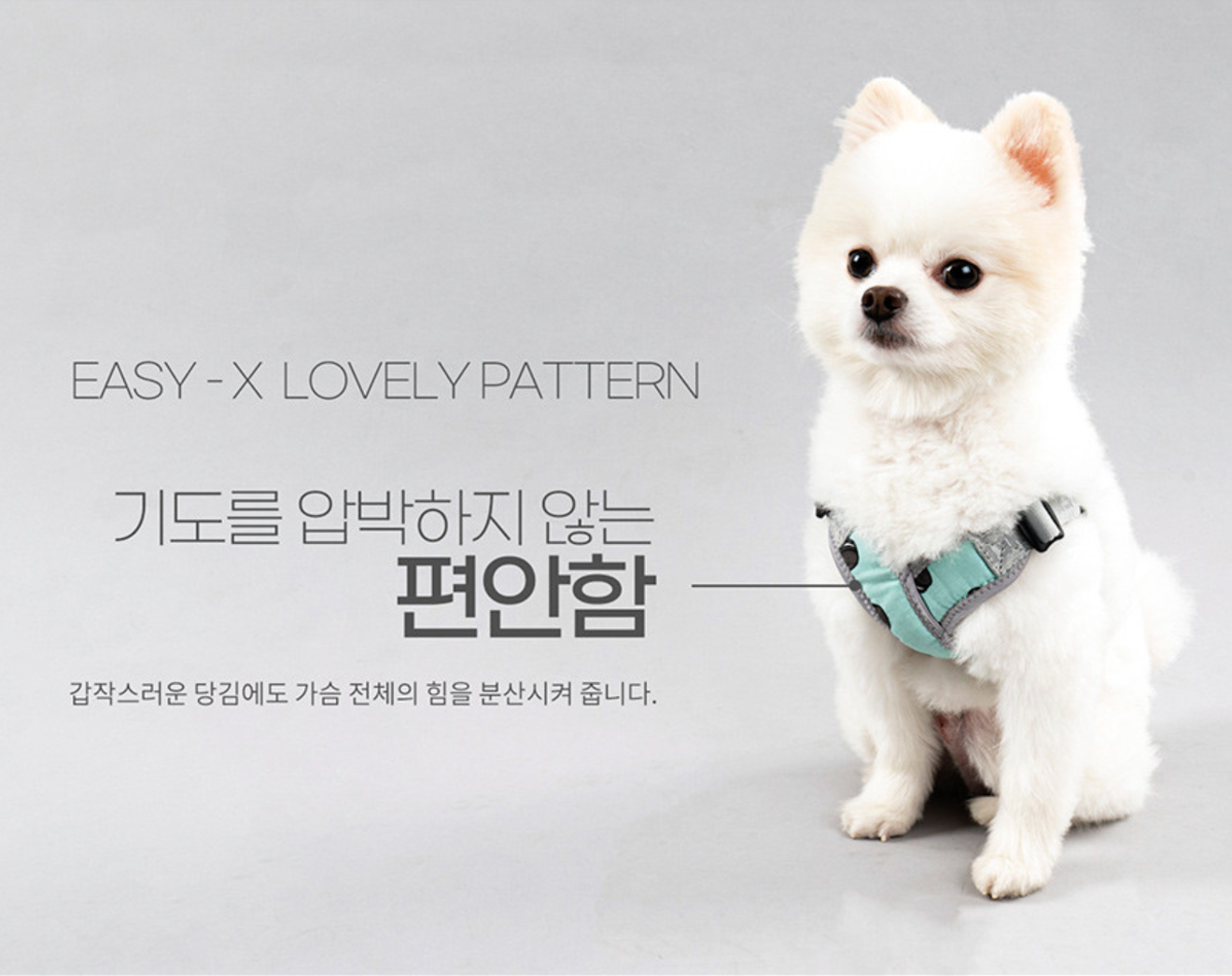 강아지 하네스 추천