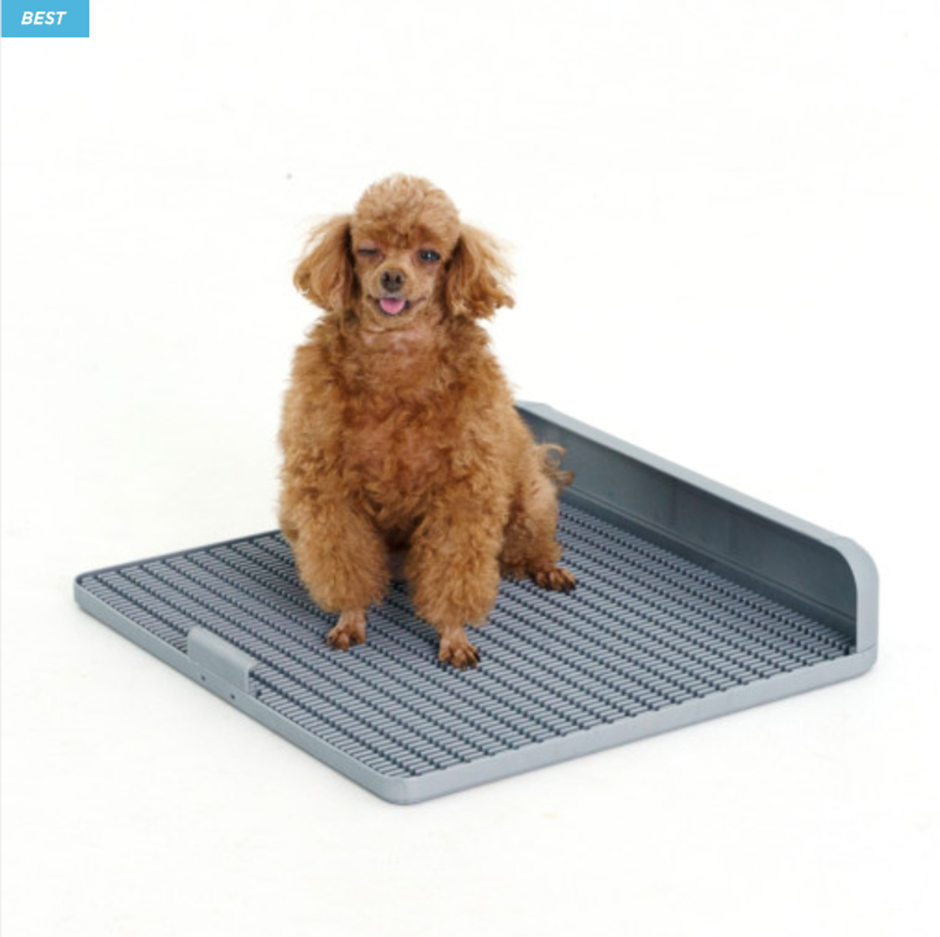 Recommandations de bacs à déjections pour chiots