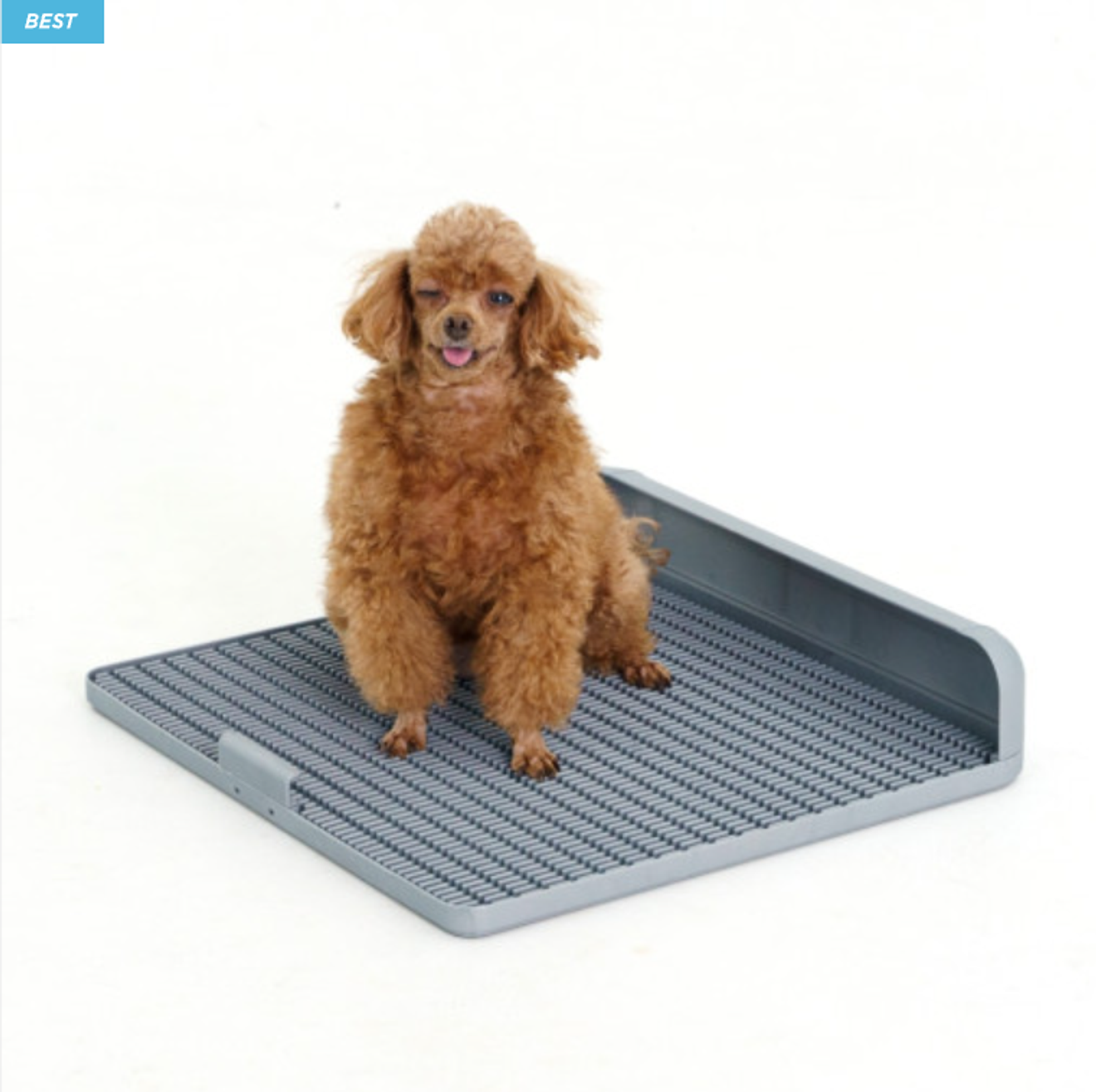 Puppy Pee Pad Recommendations