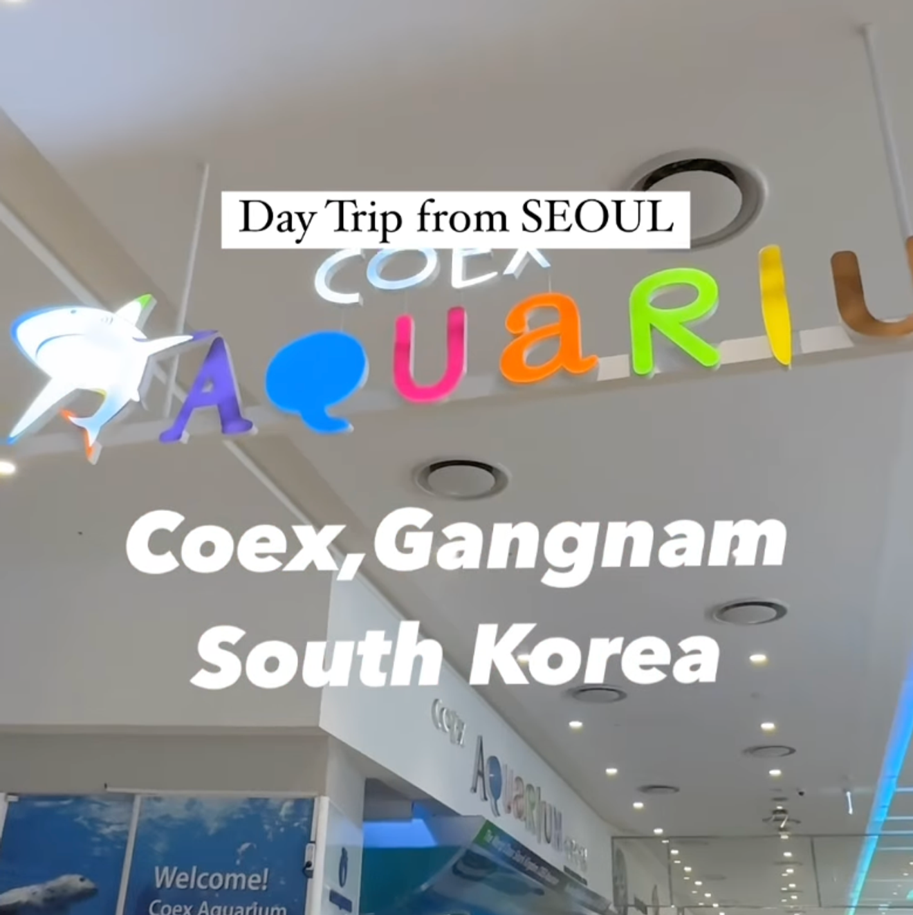 coex