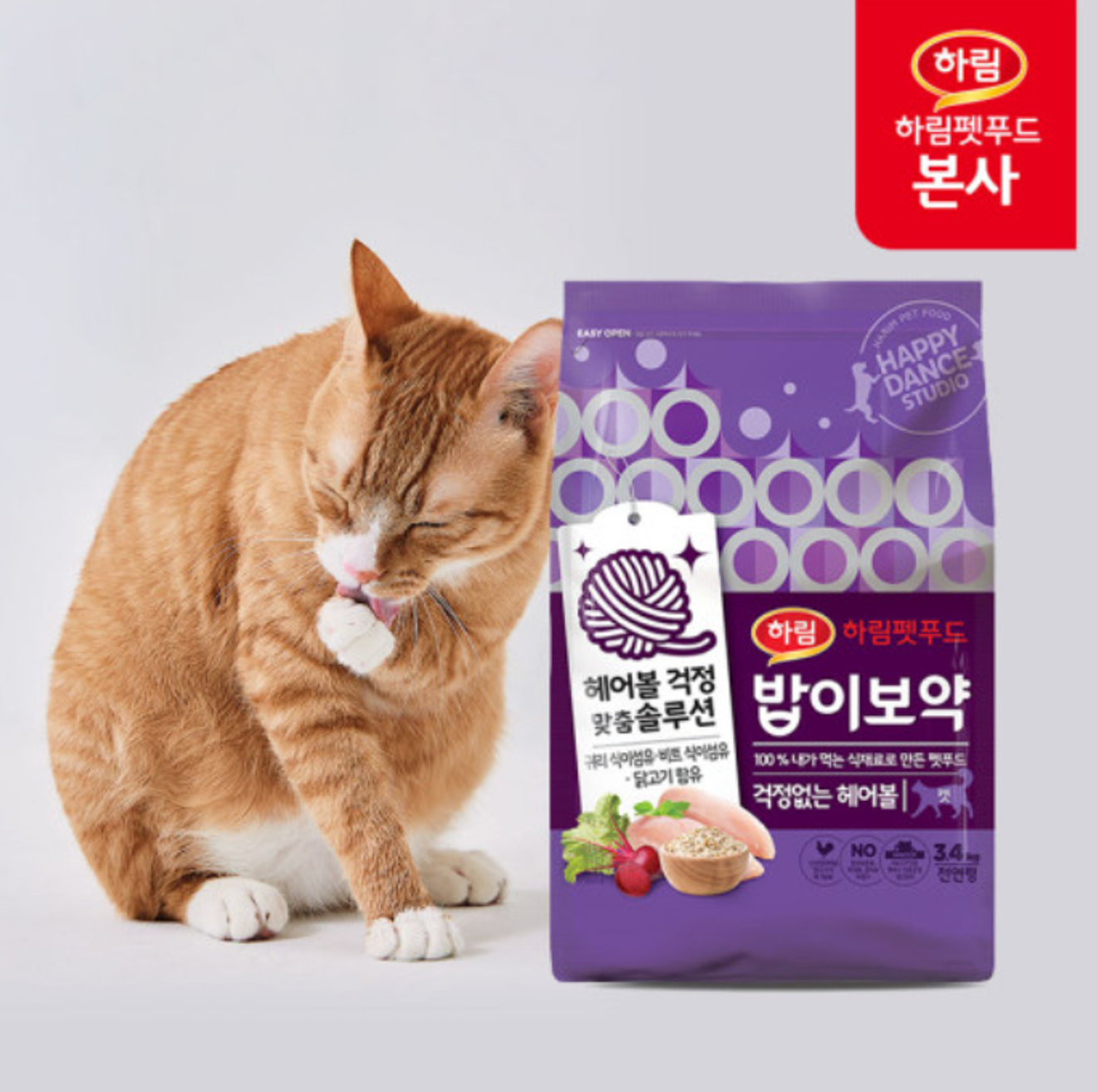 고양이 사료 추천