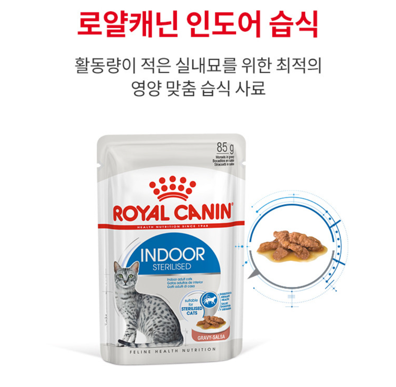 고양이 사료 추천