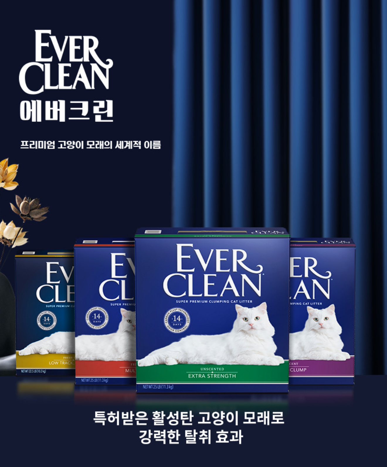 Đề xuất cát vệ sinh cho mèo
