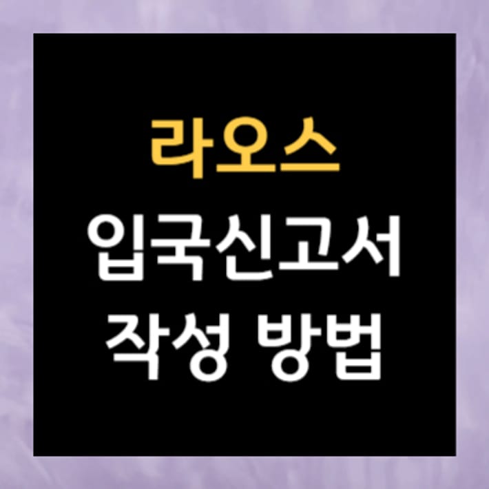 寮國入境申報單撰寫方法